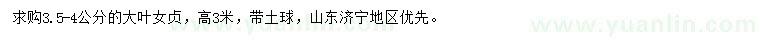 求購3.5-4公分大葉女貞