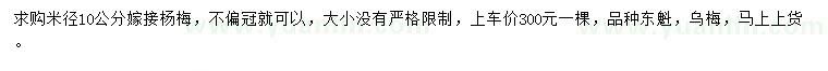 求購米徑10公分嫁接楊梅