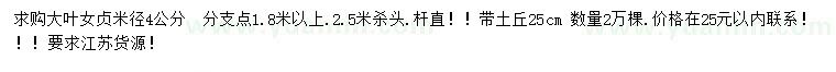 求購米徑4公分大葉女貞