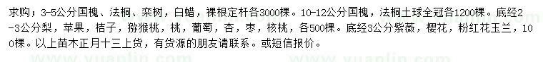 求購國槐、法桐、欒樹等