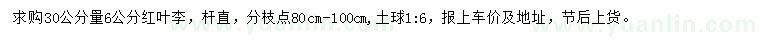 求購30公分量6公分紅葉李