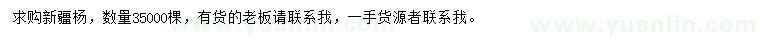求購新疆楊