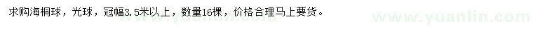 求購(gòu)冠幅3.5米以上海桐球