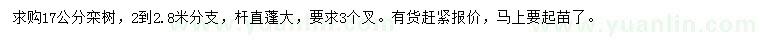 求購17公分欒樹