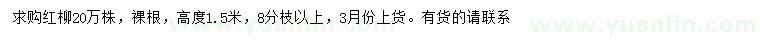 求購高1.5米紅柳