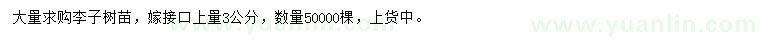 求購3公分李子樹苗