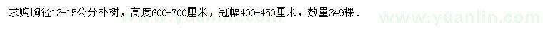 求購胸徑13-15公分樸樹