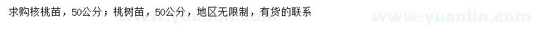 求購50公分核桃苗、桃樹苗