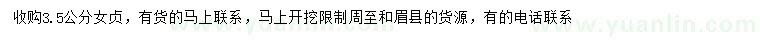 求購3.5公分女貞
