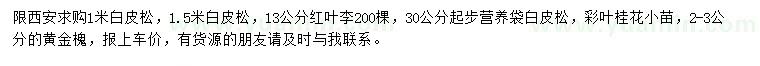 求購白皮松、紅葉李、彩葉桂花等