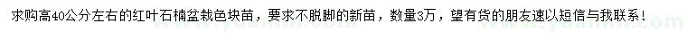 求購高40公分紅葉石楠