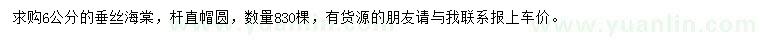 求購6公分垂絲海棠