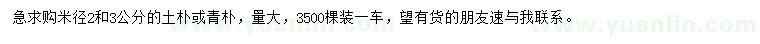 求購米徑2、3公分樸樹