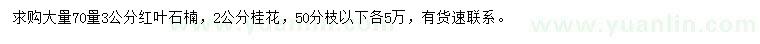 求購(gòu)70量3公分紅葉石楠