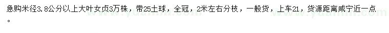 求購米徑3.8公分以上大葉女貞