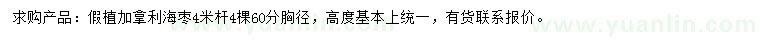 求購胸徑60公分加拿利海棗