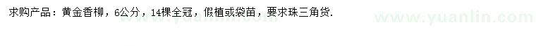 求購6公分黃金香柳