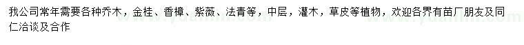 求購金桂、香樟、紫薇等