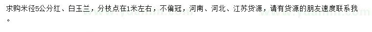 求購米徑5公分紅、白玉蘭