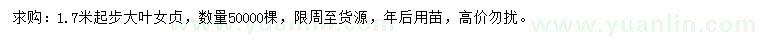 求購1.7米以上大葉女貞