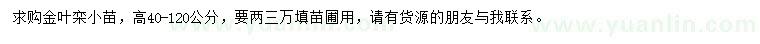 求購(gòu)高40-120公分金葉欒