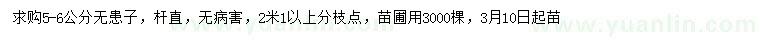 求購(gòu)5-6公分無患子
