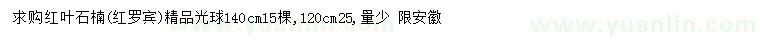 求購120、140公分紅葉石楠