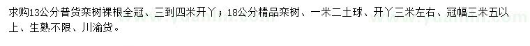 求購13、18公分欒樹