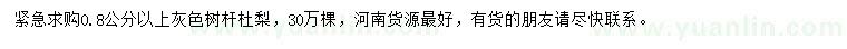 求購0.8公分以上杜梨