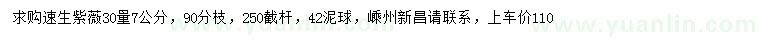 求購30量7公分速生紫薇