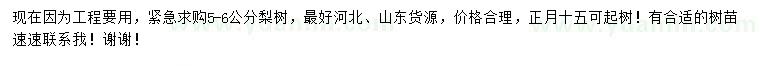 求購5-6公分梨樹