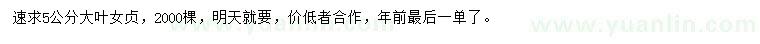 求購(gòu)5公分大葉女貞