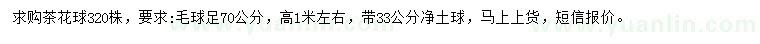 求購高1米茶花球