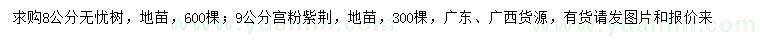 求購(gòu)8公分無憂樹、9公分宮粉紫荊