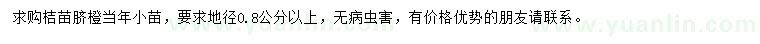 求購地徑0.8公分以上桔苗、臍橙當(dāng)年小苗