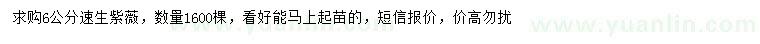 求購6公分速生紫薇