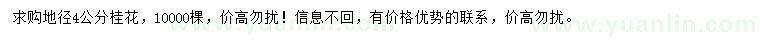 求購地徑4公分桂花