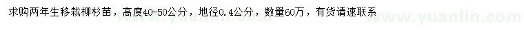 求購高40-50公分柳杉