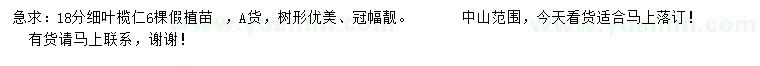 求購18公分細(xì)葉欖仁