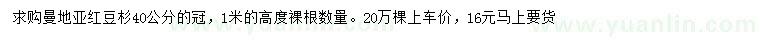 求購高1米曼地亞紅豆杉