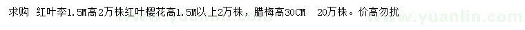 求購(gòu)紅葉李、紅葉櫻花、臘梅