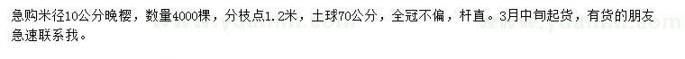 求購米徑10公分晚櫻