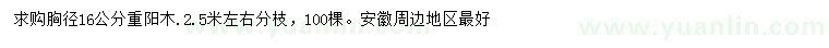 求購胸徑16公分重陽木