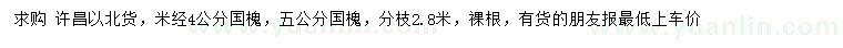 求購米徑4、5公分國槐