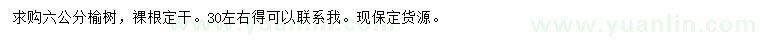 求購6公分榆樹