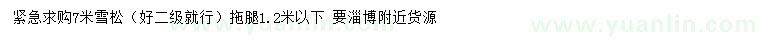 求購7米雪松