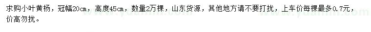 求購冠幅20公分小葉黃楊