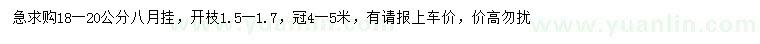 求購(gòu)18-20公分八月掛