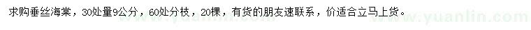 求購30量9公分垂絲海棠