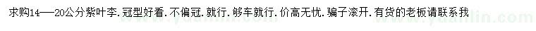 求購14-20公分紫葉李